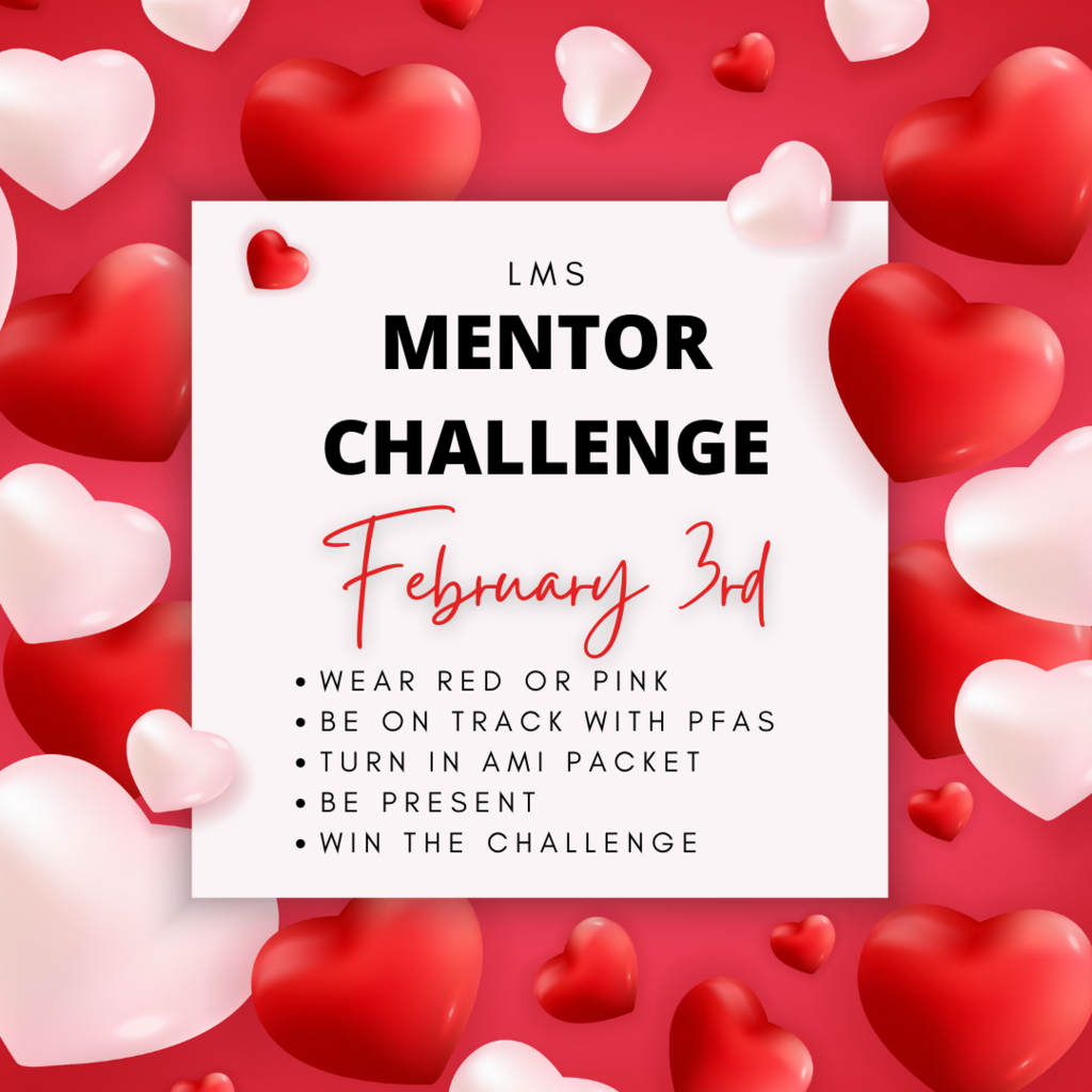 February Mentor Challenge